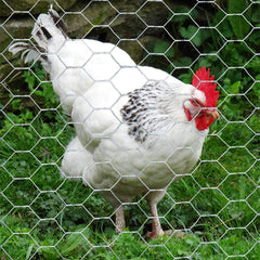 MTB Supply chicken wire installed around a coop illustrating secure containment and garden protection