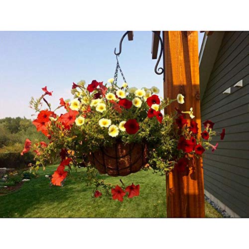 MTB Supply balcony lifestyle display showing decorative curb appeal and space use