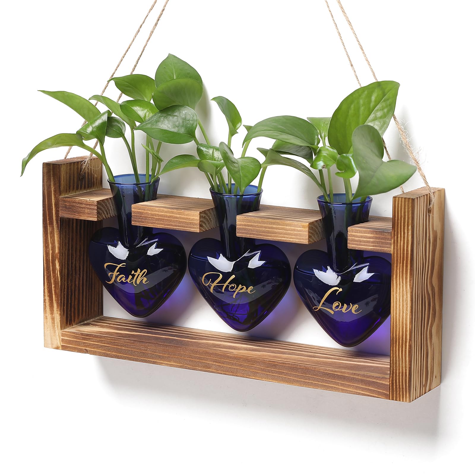 MTsigns front view of heart-shaped glass vases showing decorative benefit