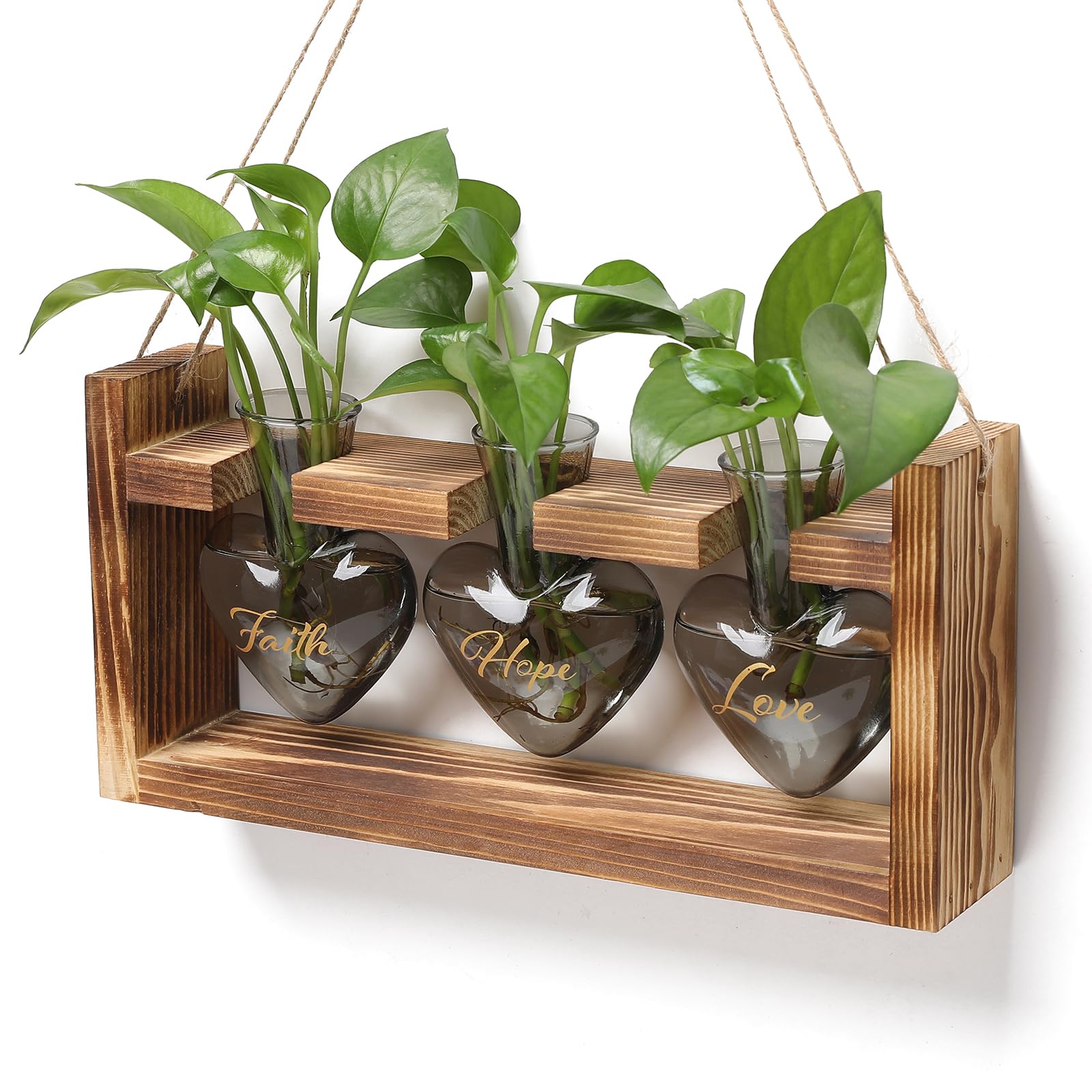 MTsigns heart-shaped terrarium front view showing elegant wood frame and colored glass vases for display