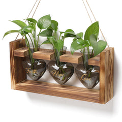 MTsigns heart-shaped terrarium front view showing elegant wood frame and colored glass vases for display