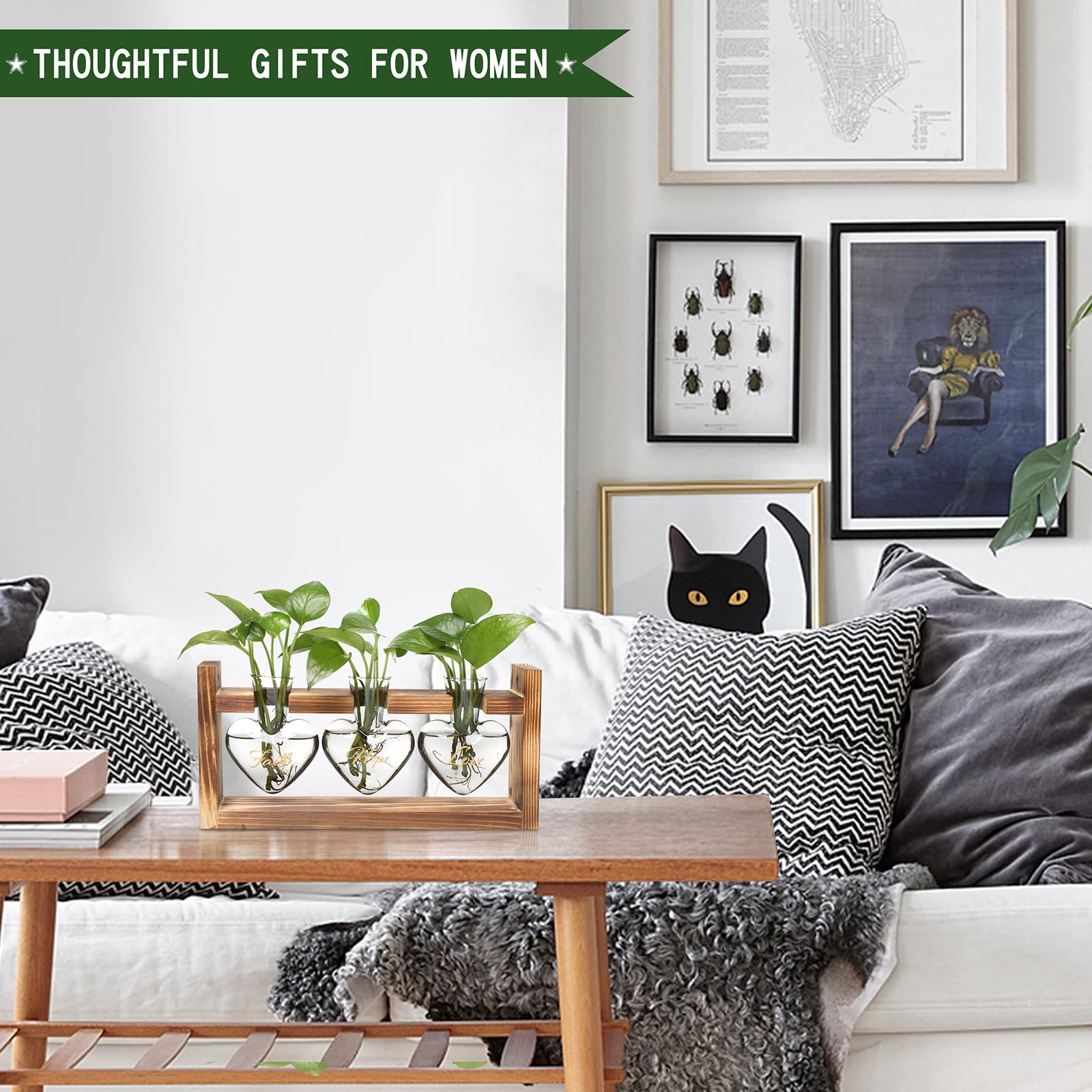 MTsigns heart terrarium on a sunny windowsill offering decorative and functional plant display