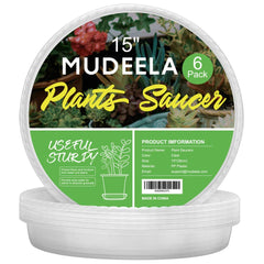 MUDEELA front view clear saucer showing tidy rim and neutral look