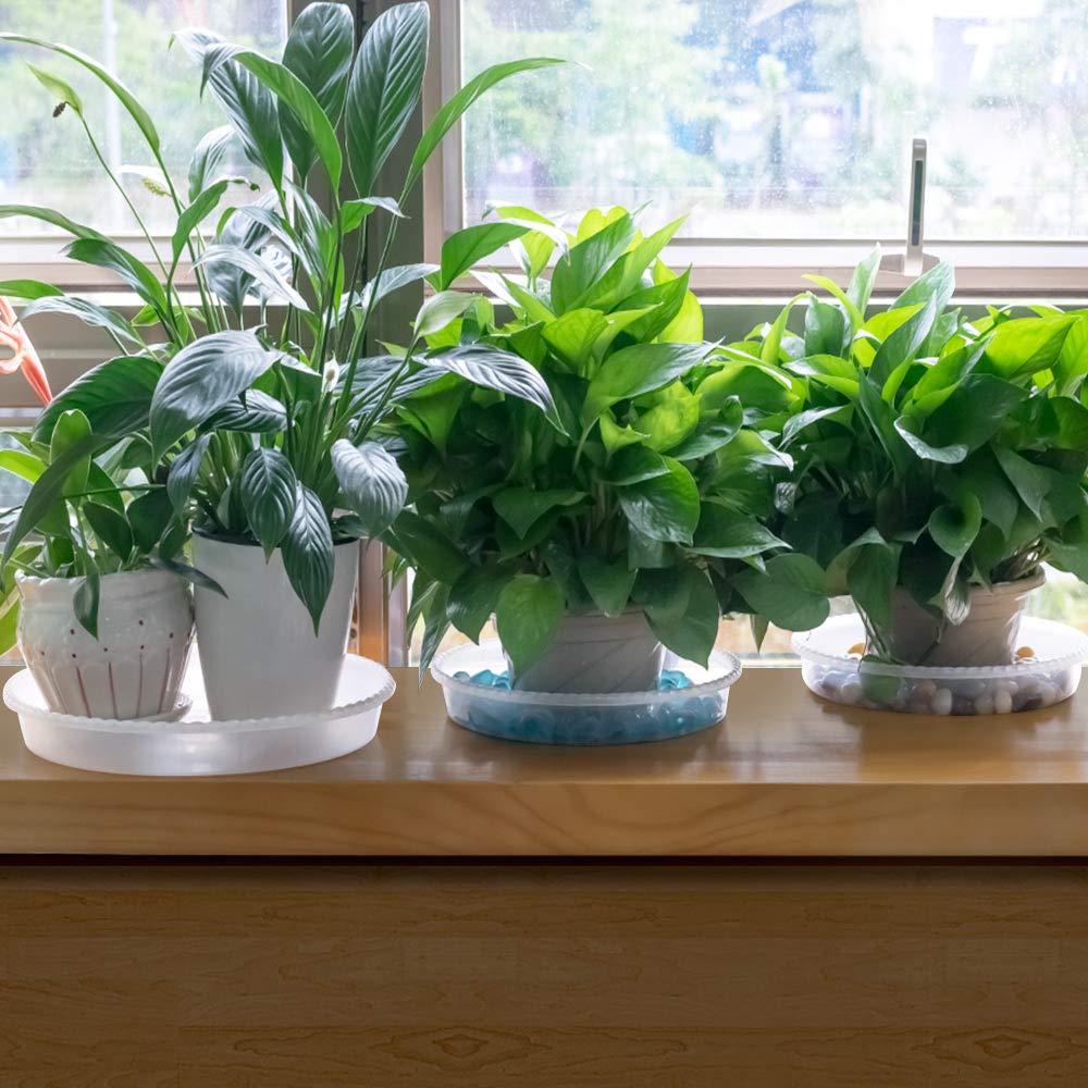 MUDEELA six saucers stacked compactly for neat storage and convenience