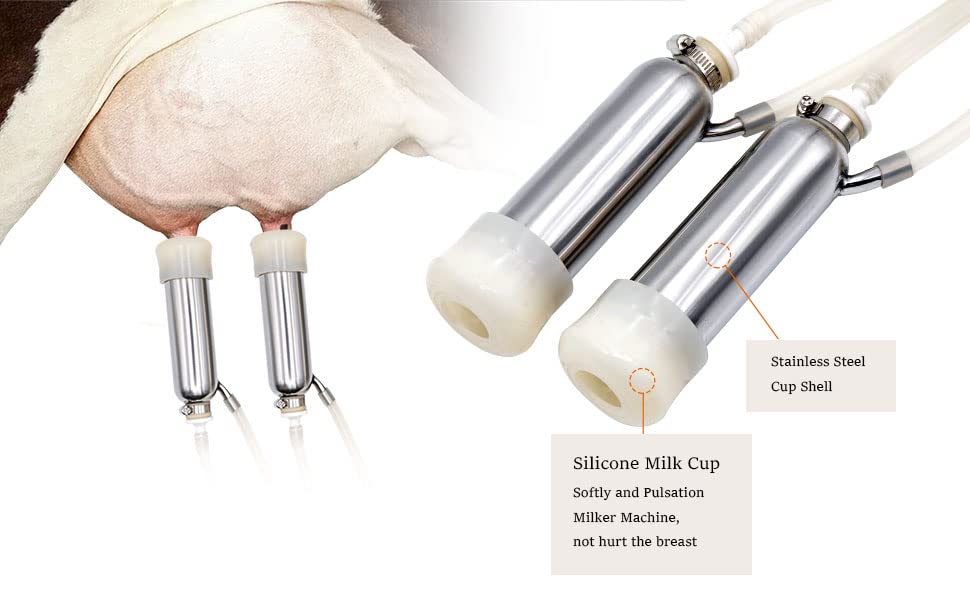 MUDUOBAN milking machine in use on farm illustrating efficient milking benefit