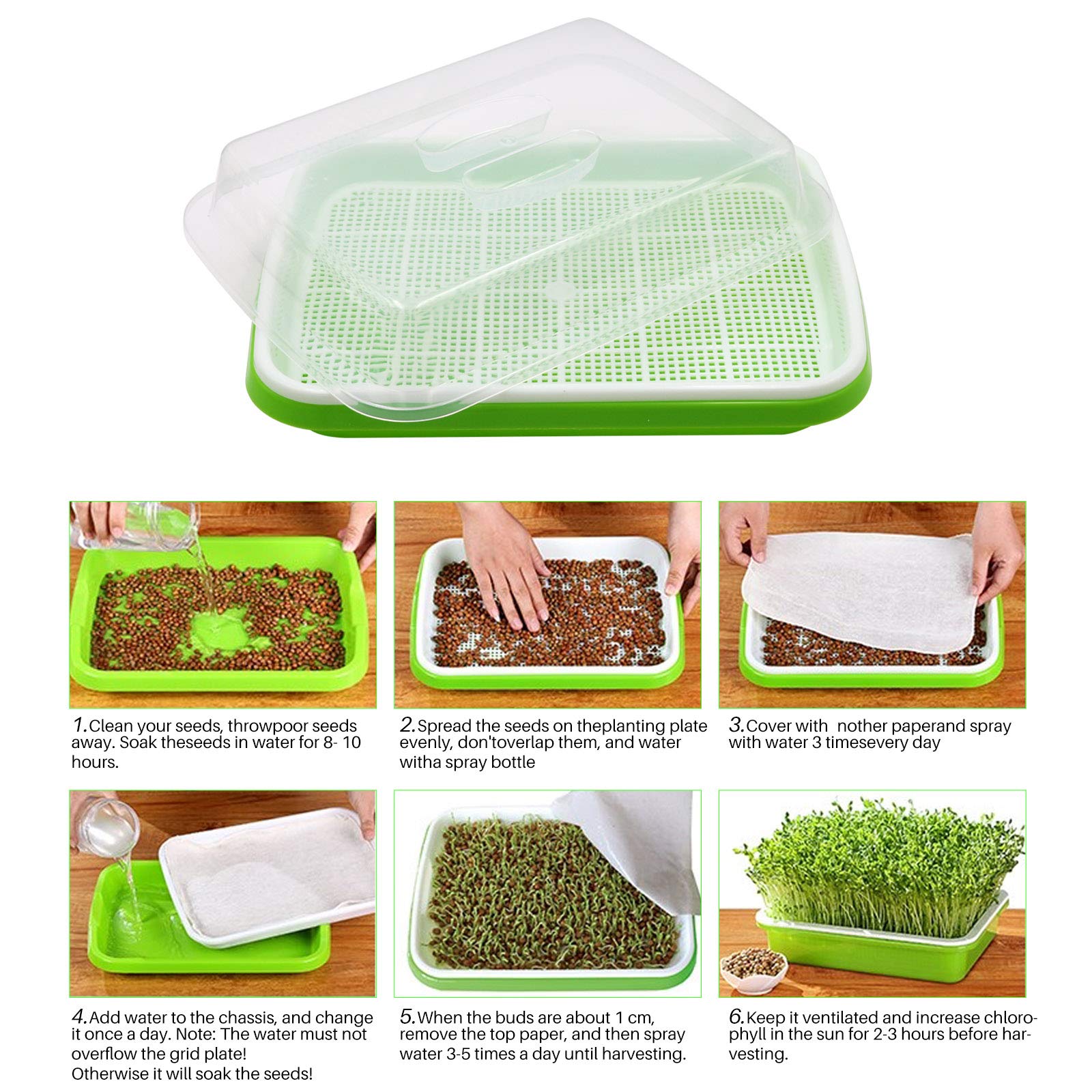 MUDUOBAN fresh microgreens on countertop illustrating quick harvest and kitchen use