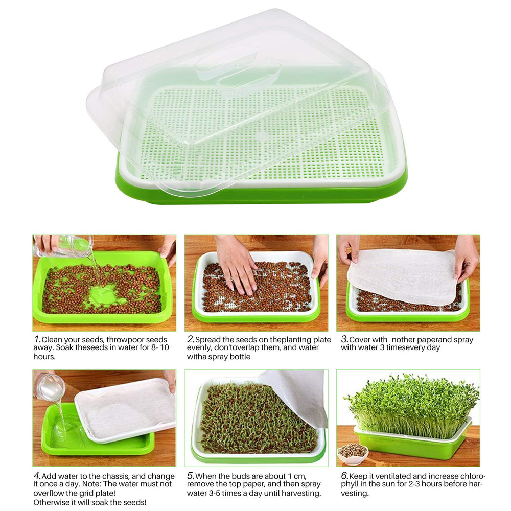 MUDUOBAN fresh microgreens on countertop illustrating quick harvest and kitchen use