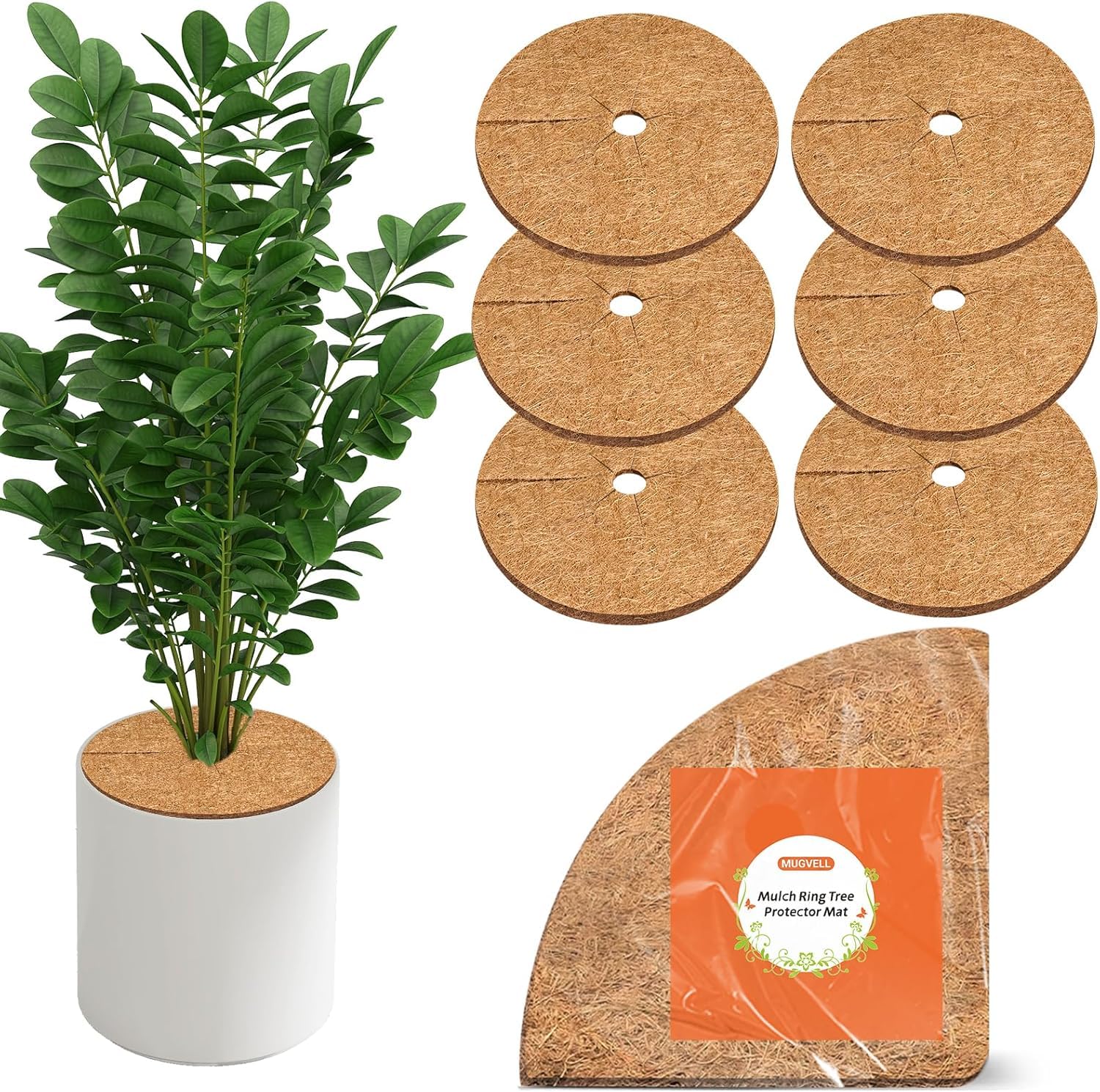 MUGVELL front packaging showing six 24-inch coir mulch rings and product benefits