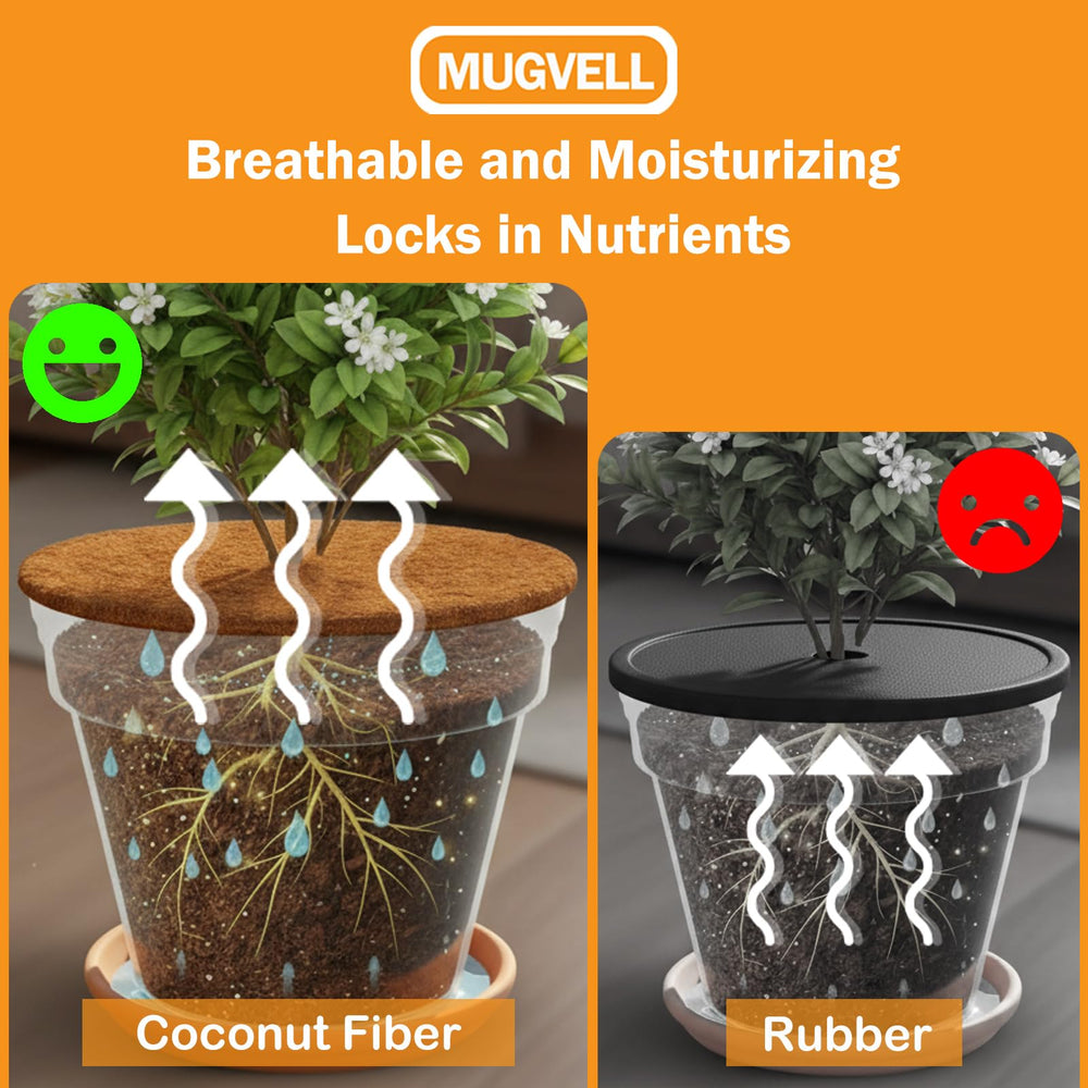 MUGVELL coir liner fitted inside a 24-inch planter keeping soil tidy and moist