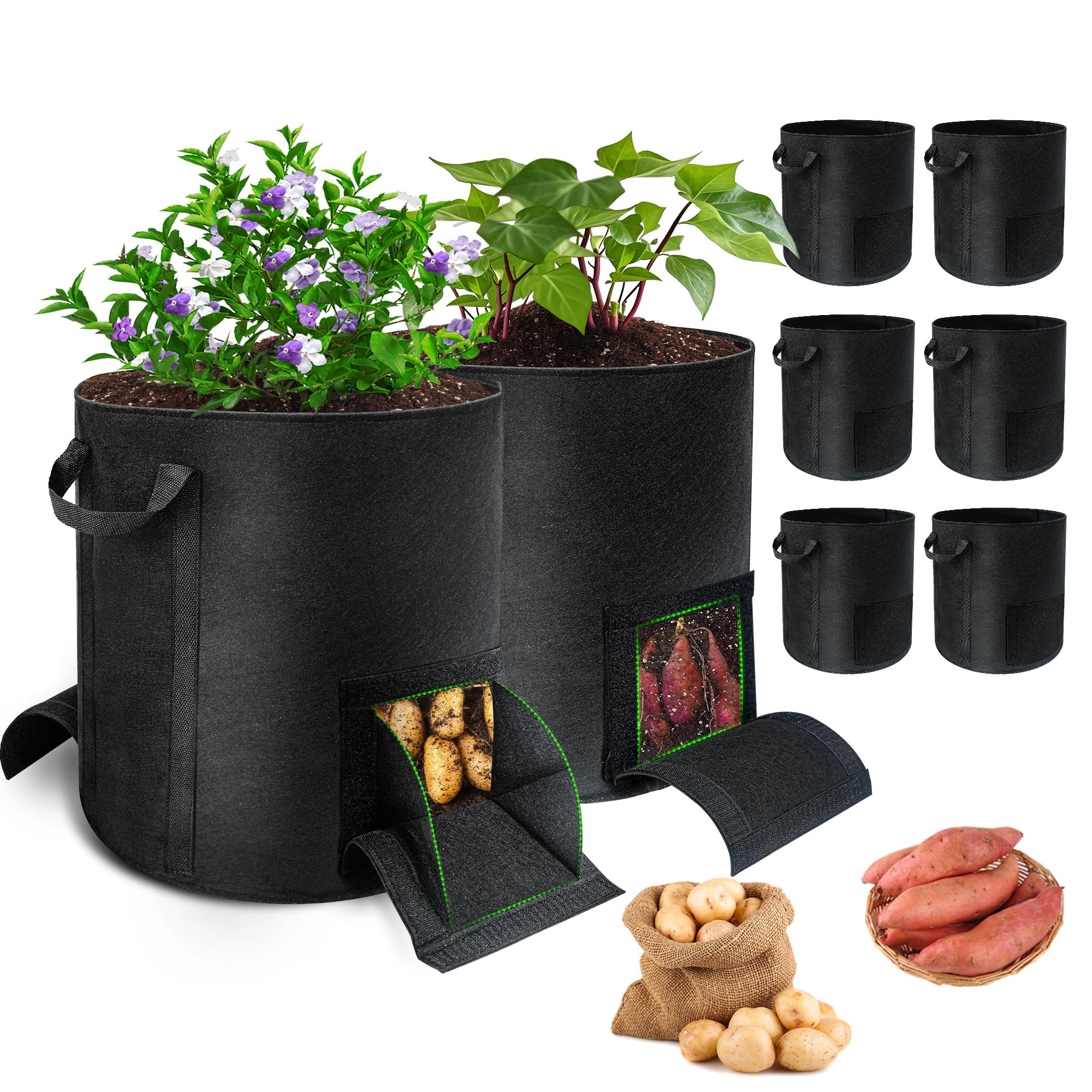 Mulctun front packaging view showing 8-pack and clear benefits