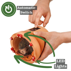 Muldale hedgehog scale with hand showing compact 5.75-inch size benefit