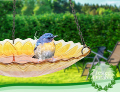 MUMTOP bird bathing in dish demonstrating safe shallow depth for birds