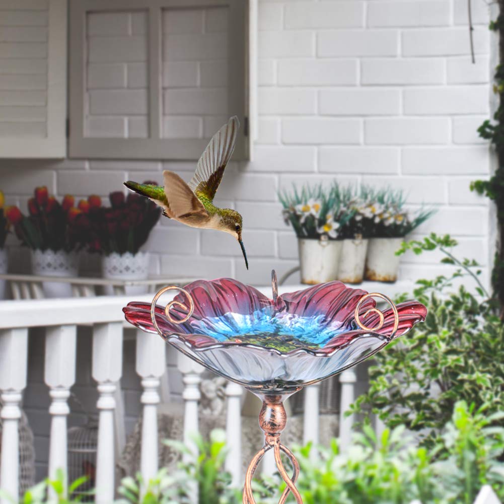 MUMTOP with small bird using the bowl showing attraction and natural garden activity
