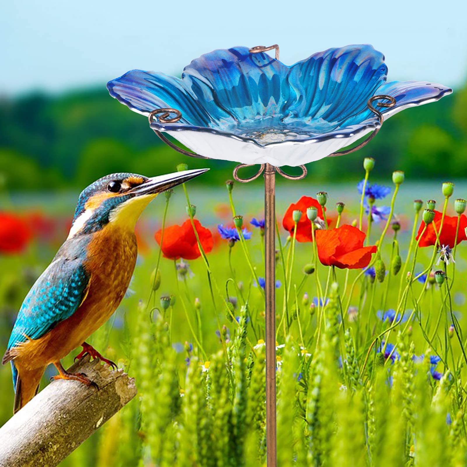 MUMTOP empty bowl displaying shallow depth for easy bird access