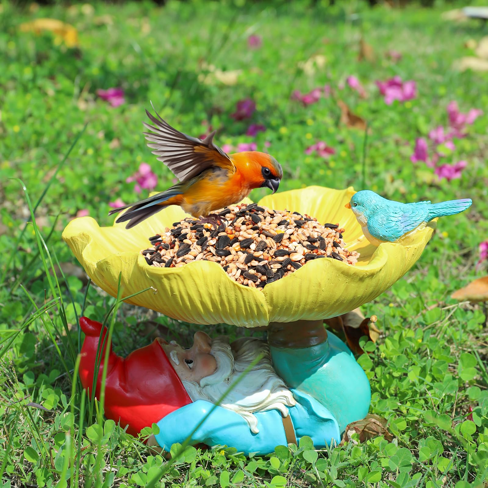 MUMTOP bird visiting lawn bath showing attraction of local birds and viewing benefit