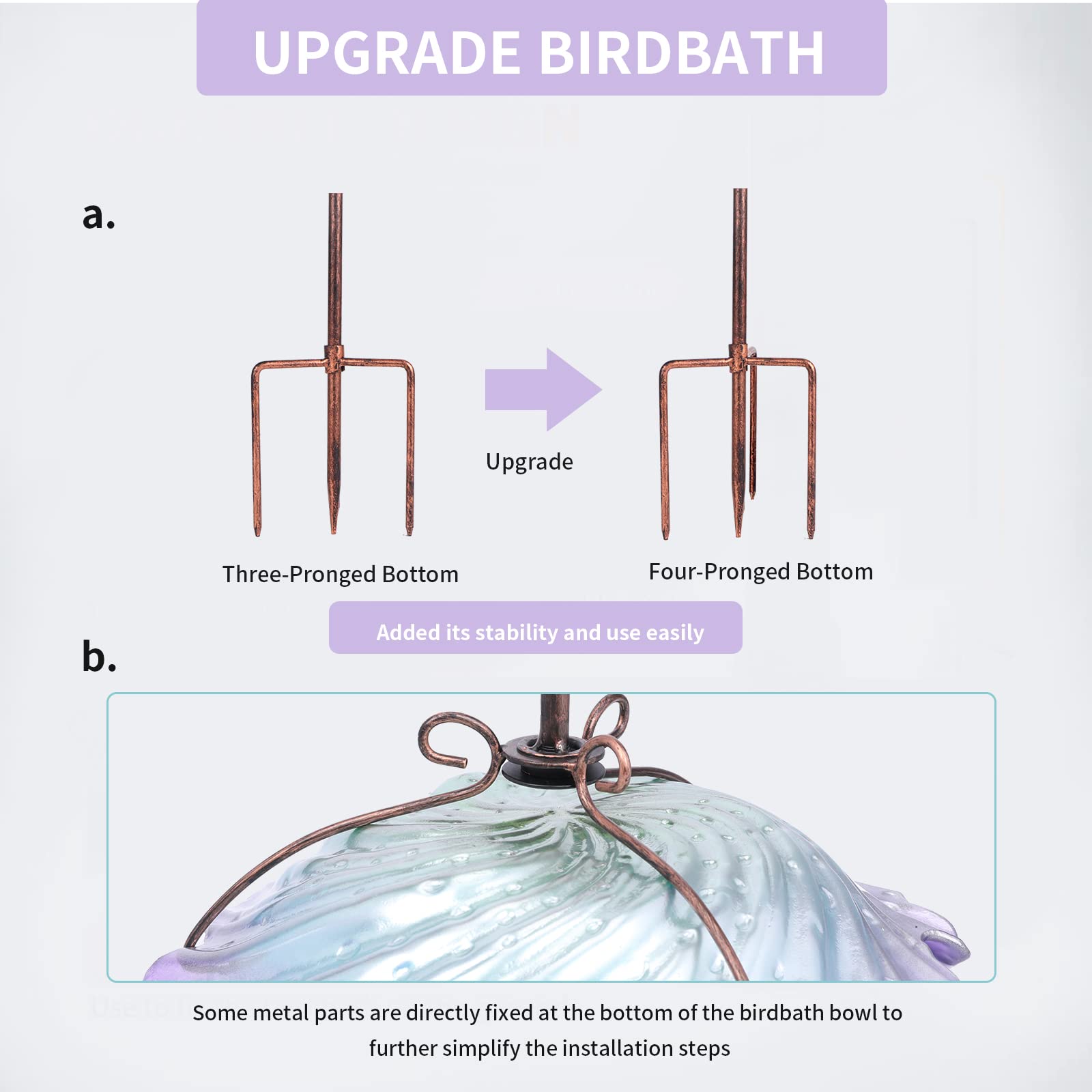 MUMTOP shallow glass bowl demonstrating safe water depth for birds