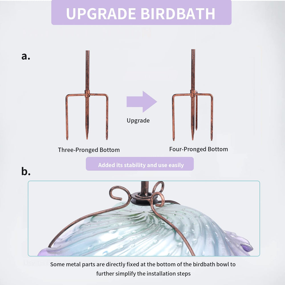 MUMTOP shallow glass bowl demonstrating safe water depth for birds