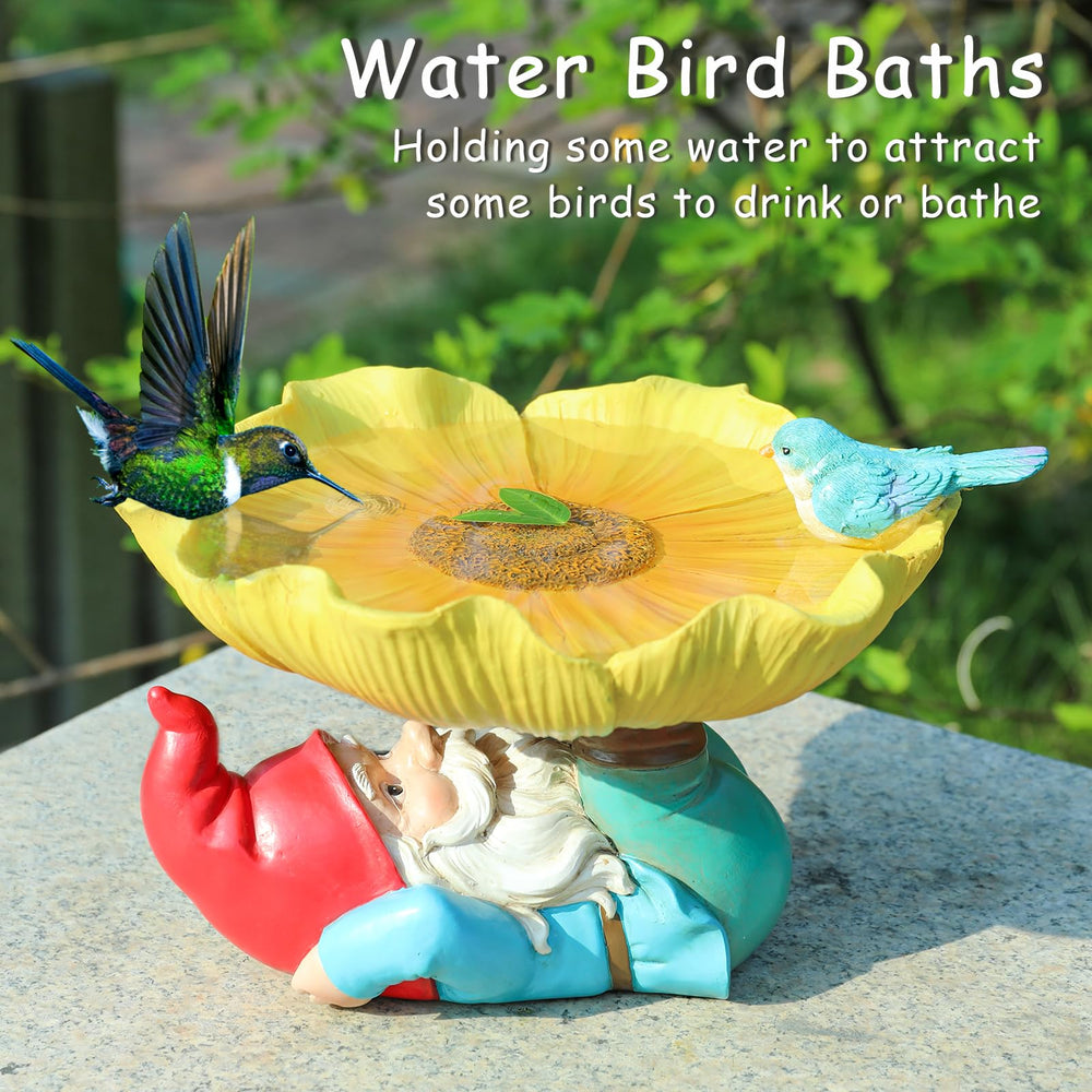 MUMTOP top-down view of bowl filled with water showing shallow bird-friendly depth