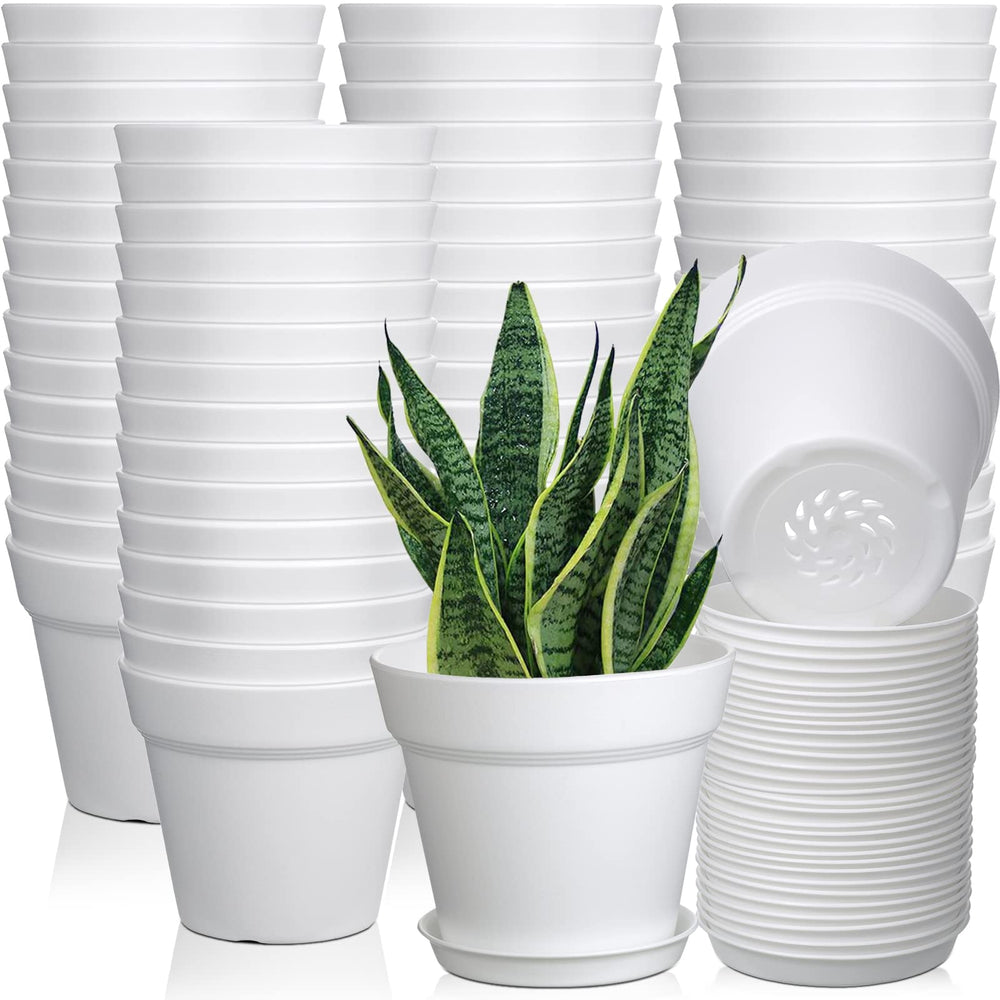 Mumufy front view of stacked 4-inch pots showing uniform set and easy planting