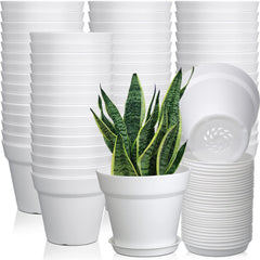 Mumufy front view of stacked 4-inch pots showing uniform set and easy planting