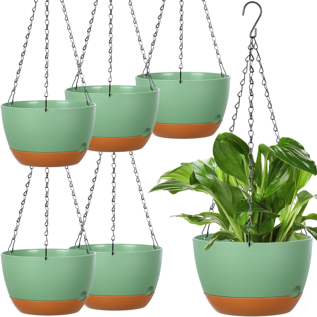 Mumufy front view of six green hanging planters showing matched set and neat appearance