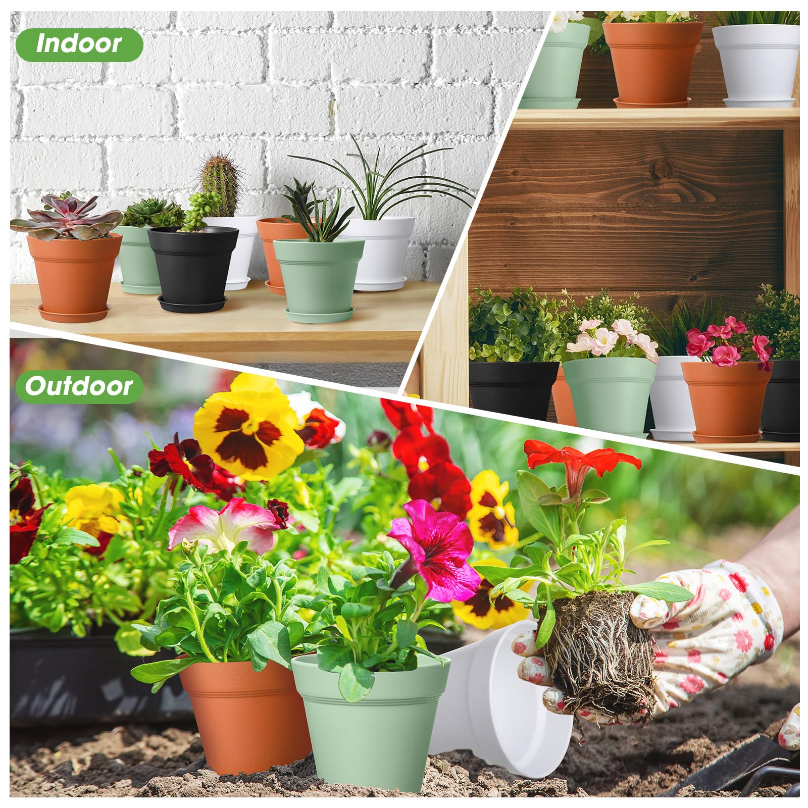 Mumufy pot label and dimensions graphic illustrating measurements and practical planting use