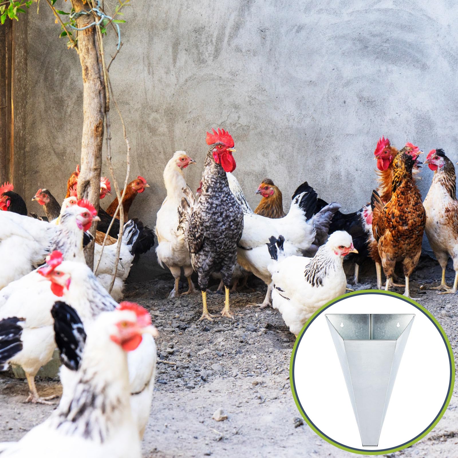 Mumufy cone in outdoor farm setup restraining a bird to illustrate practical use