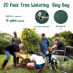 Mumufy ring installed around young tree delivering deep root watering benefit