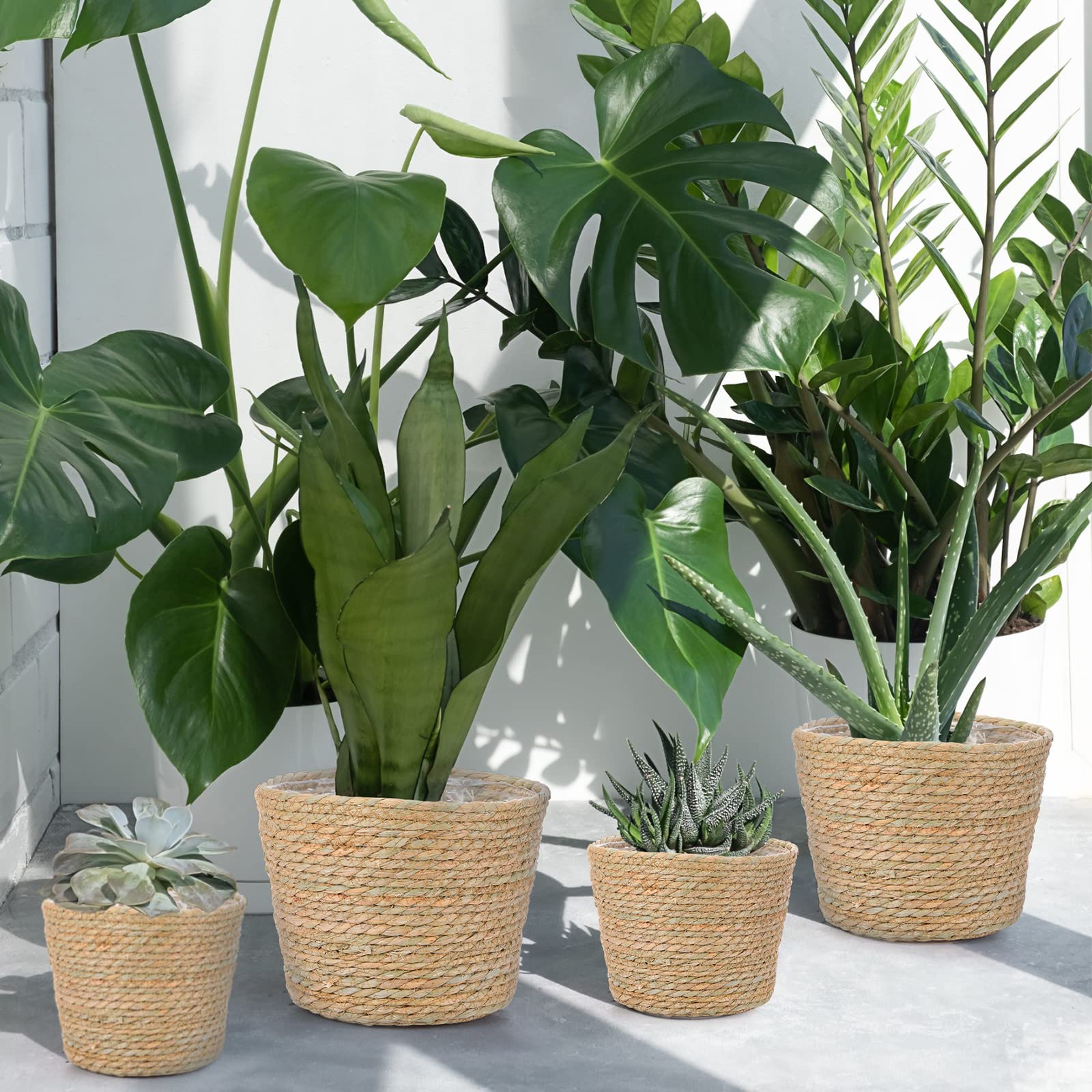 Mumufy baskets beside standard pots for scale showing three sizes and fit options