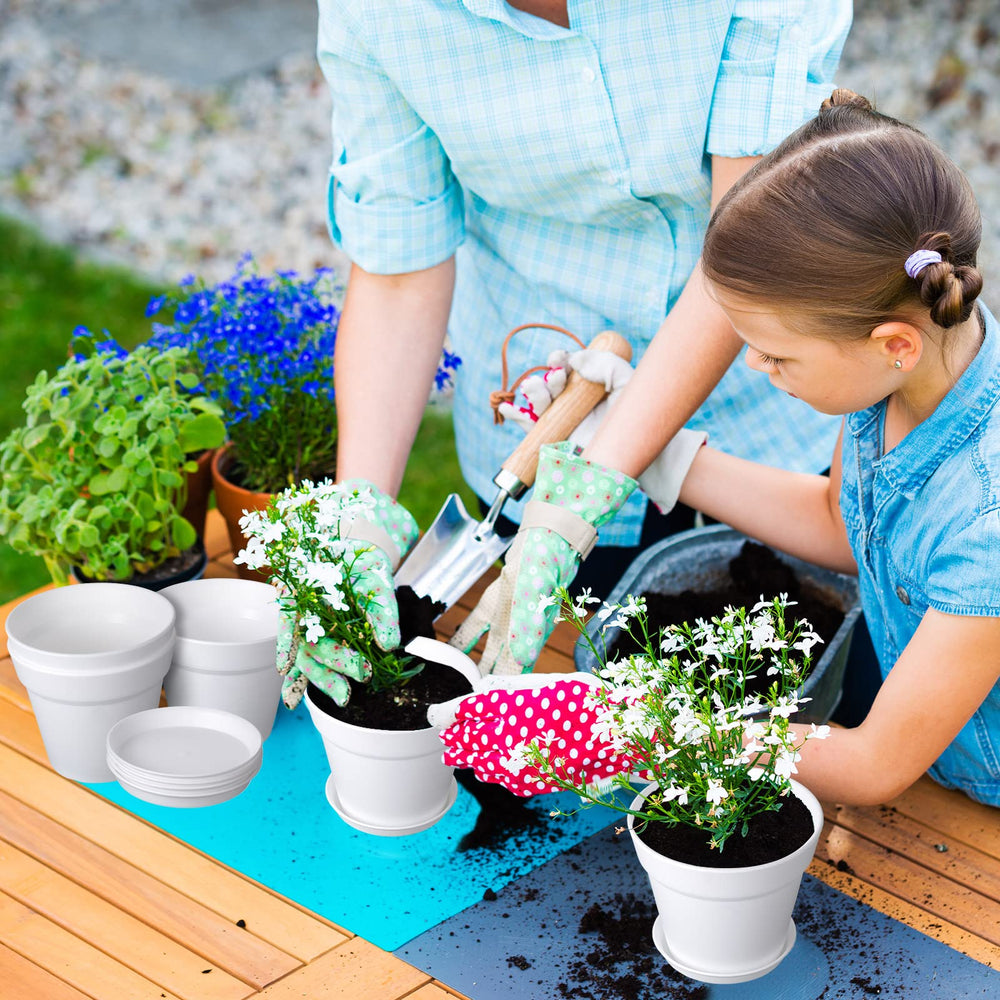 Mumufy lifestyle on a windowsill showing neat herb display and convenience