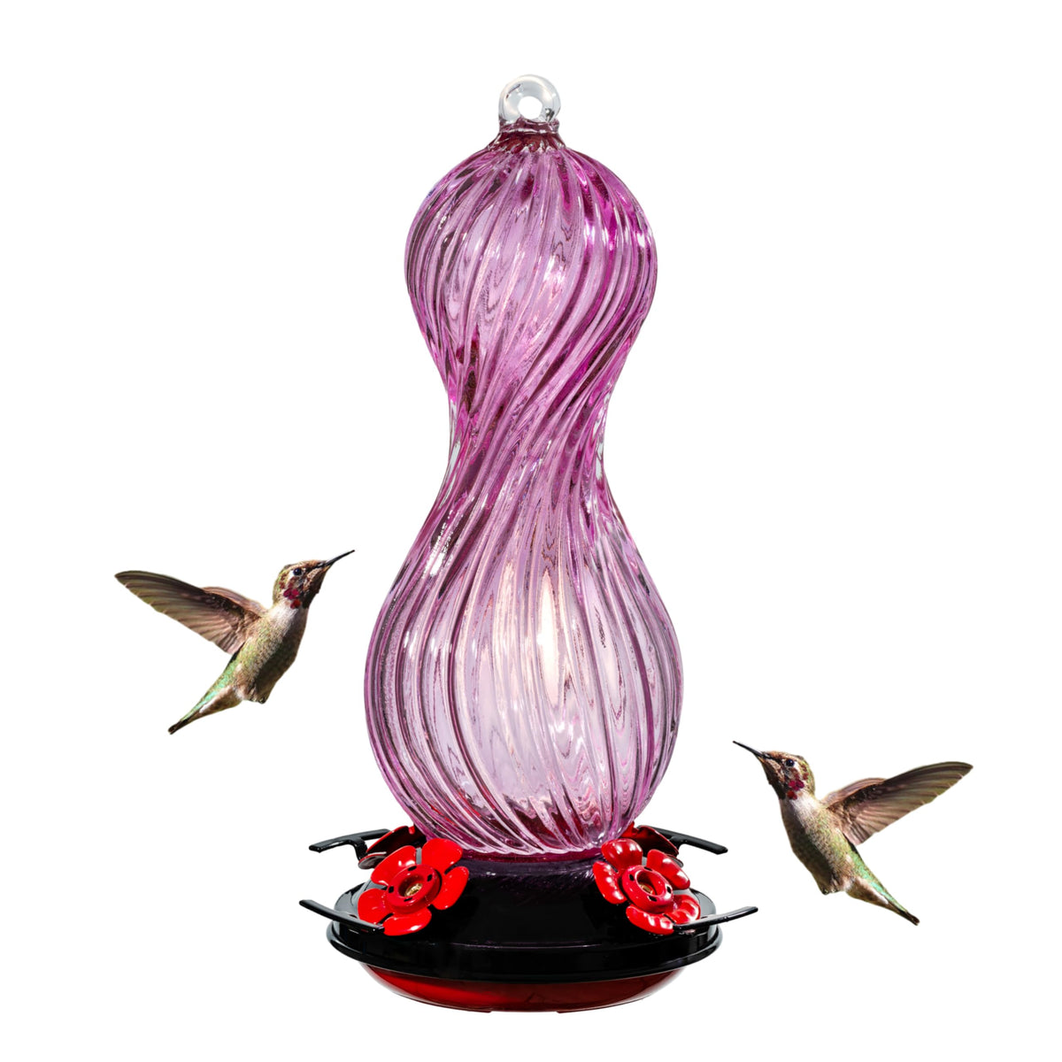 Muse Garden front view hanging feeder showing vibrant glass and easy access