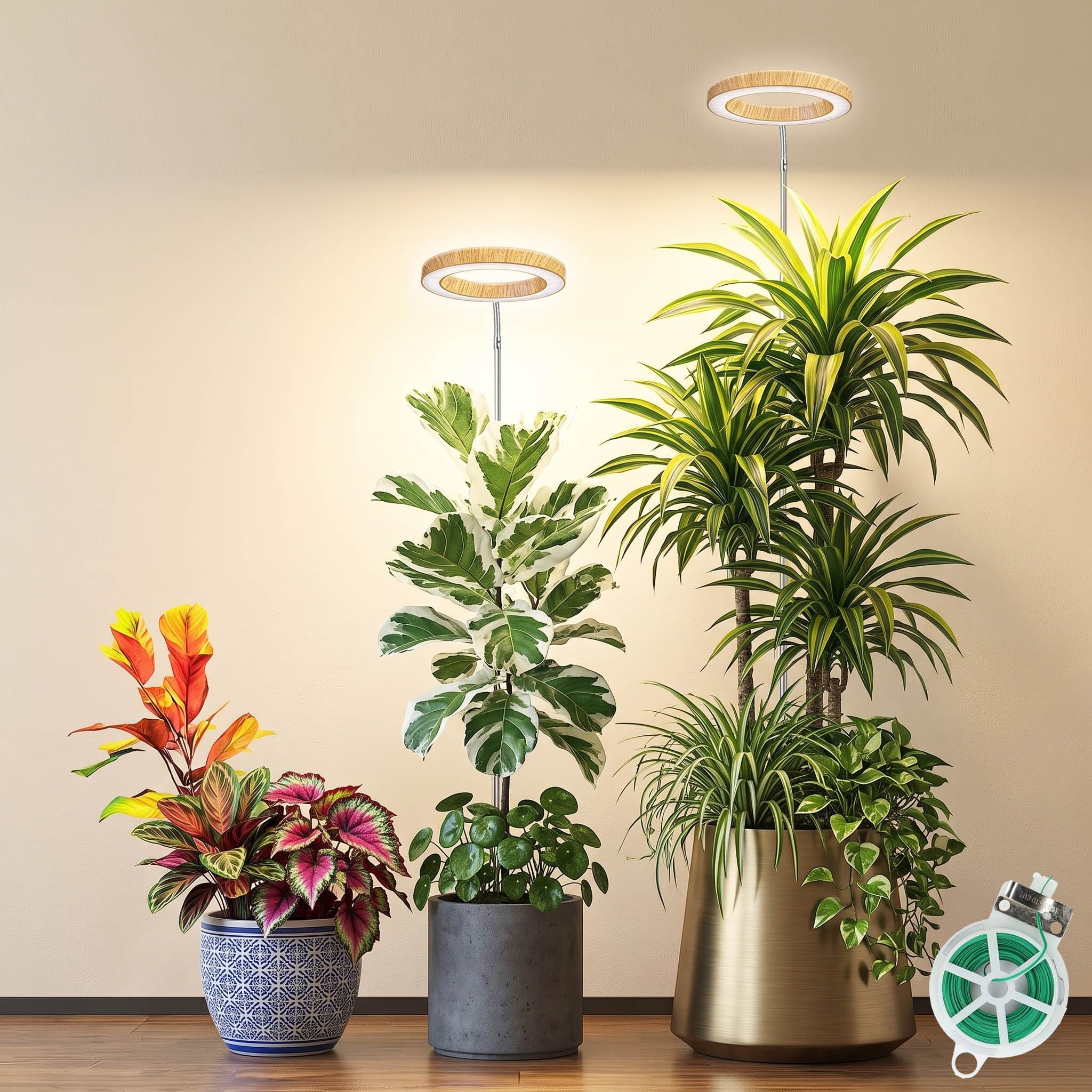 MUSELUCE front view of wood-grain grow light two-pack highlighting elegant design