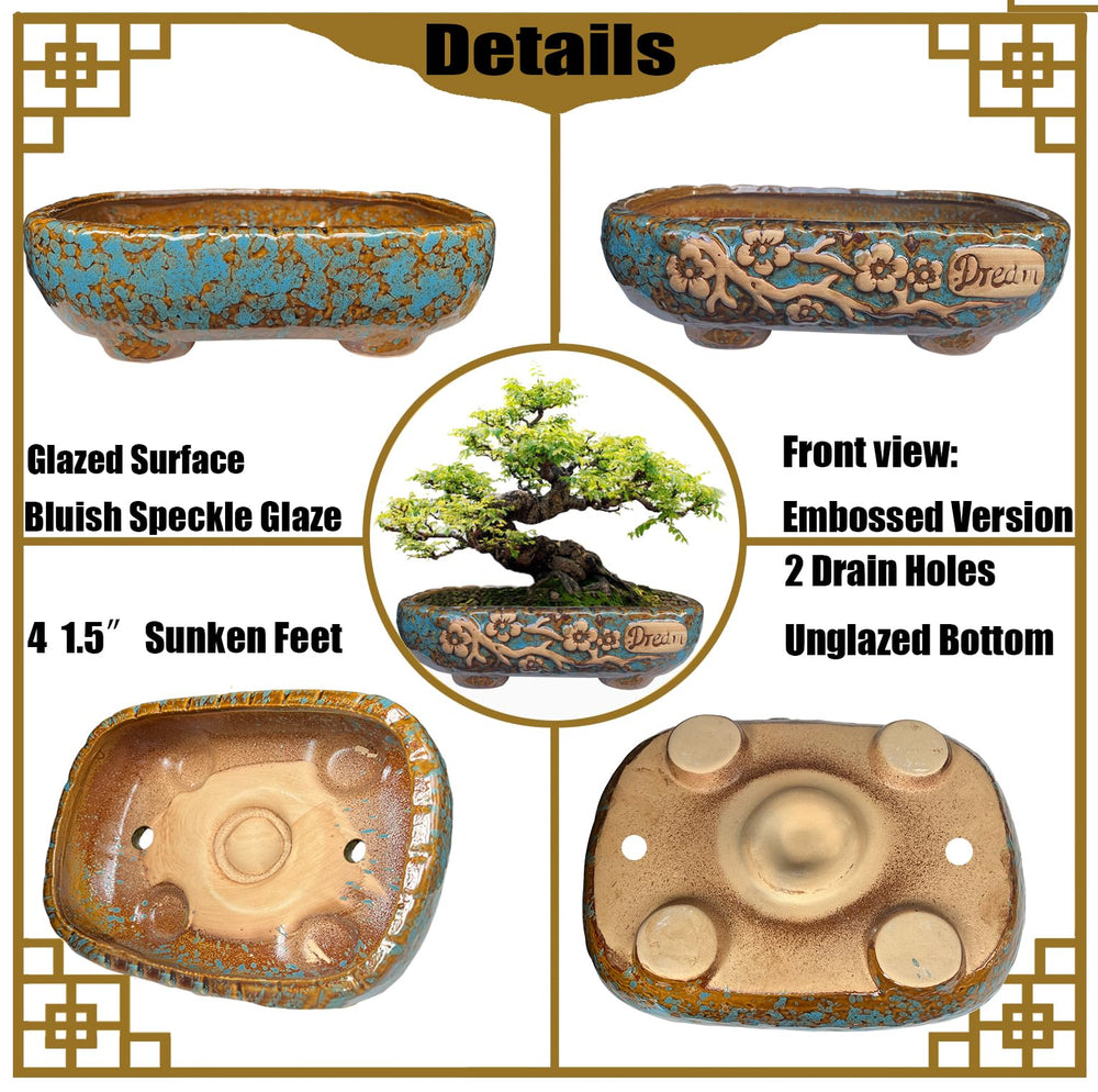 MUZHI image of pot underside showing drainage holes and unglazed breathable base
