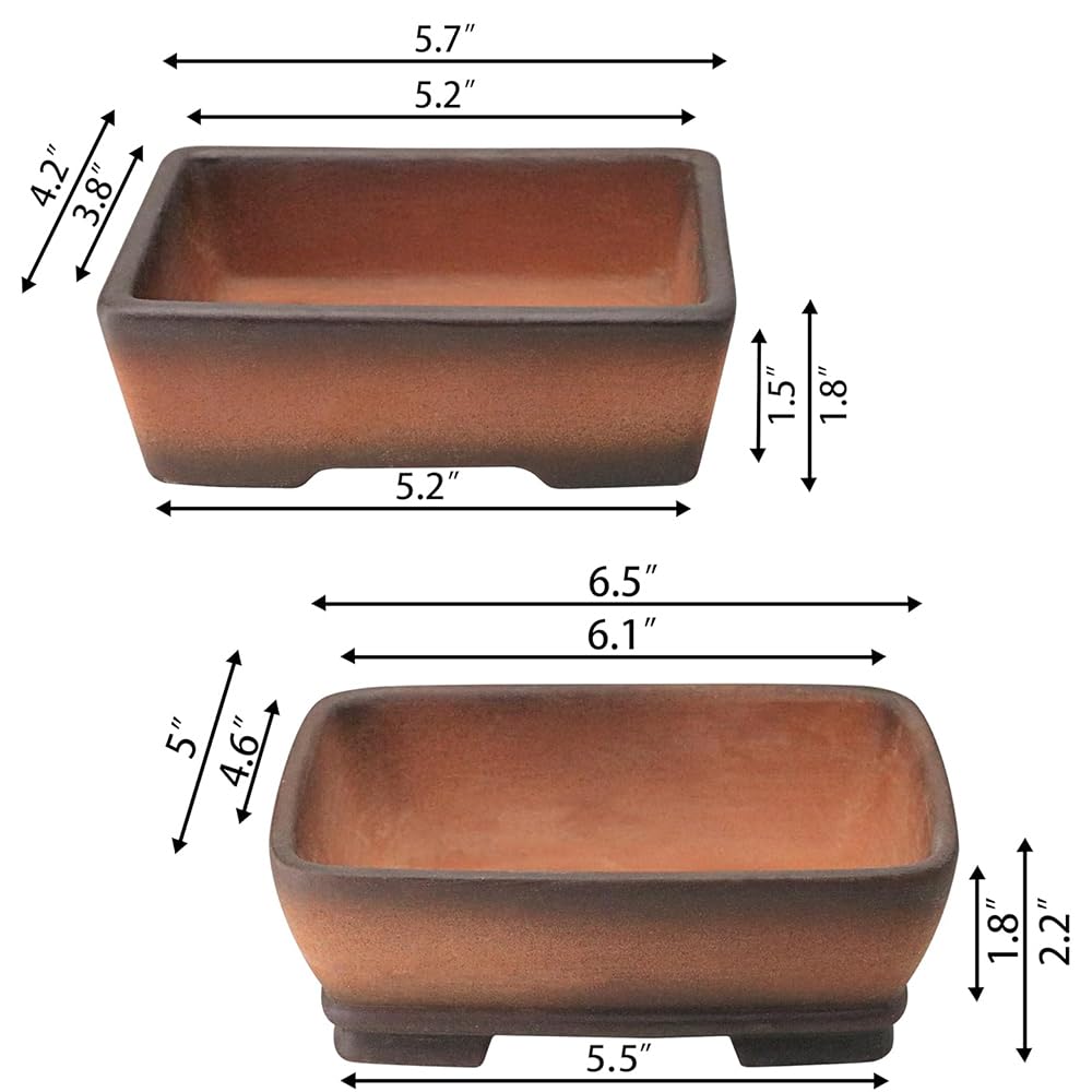 MUZHI close-up of unglazed Zisha clay texture highlighting breathable surface for root health