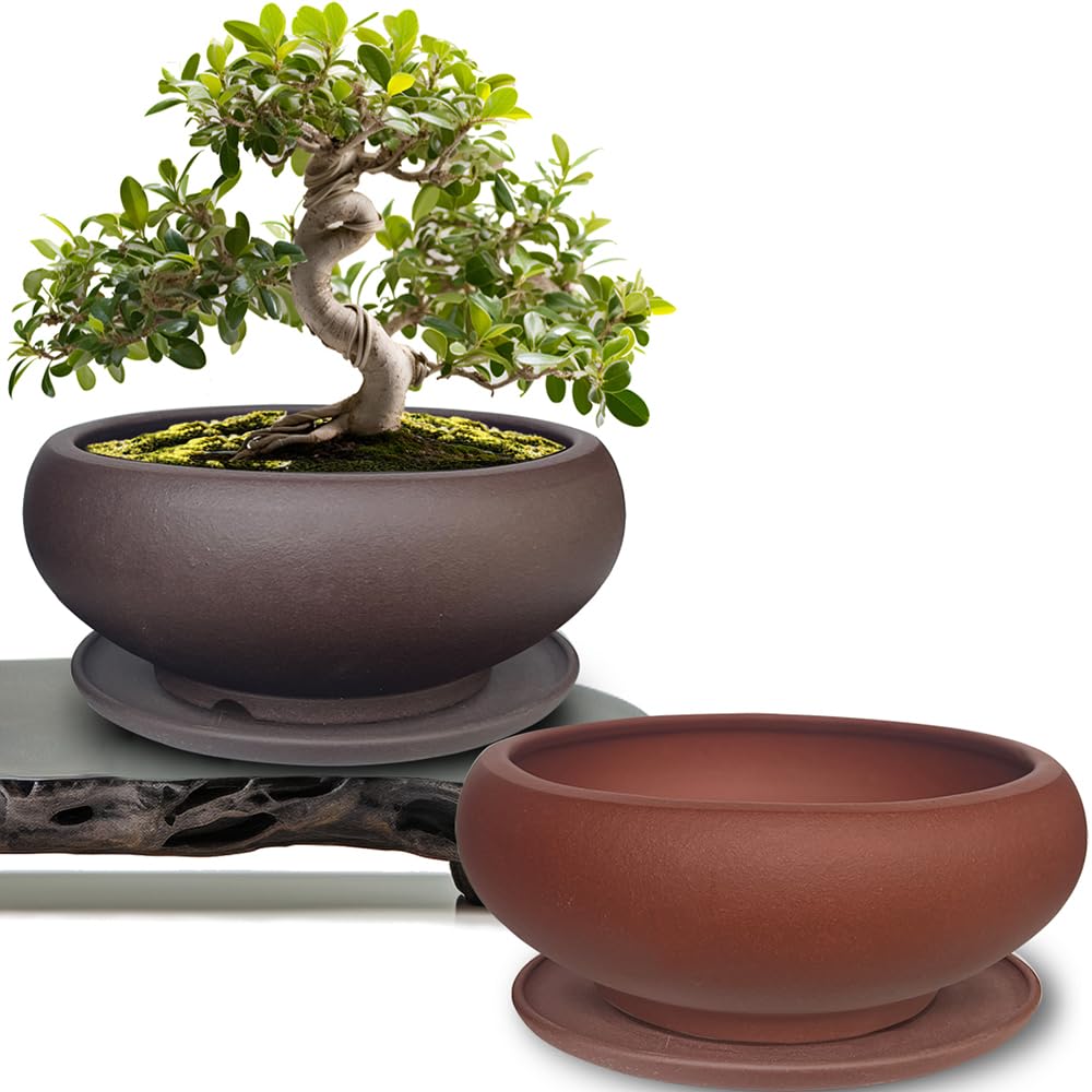 MUZHI pair of brown and red pots front view, compact starter convenience
