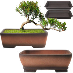 MUZHI front view of two gradient terracotta planters showing elegant rustic finish and planting benefit