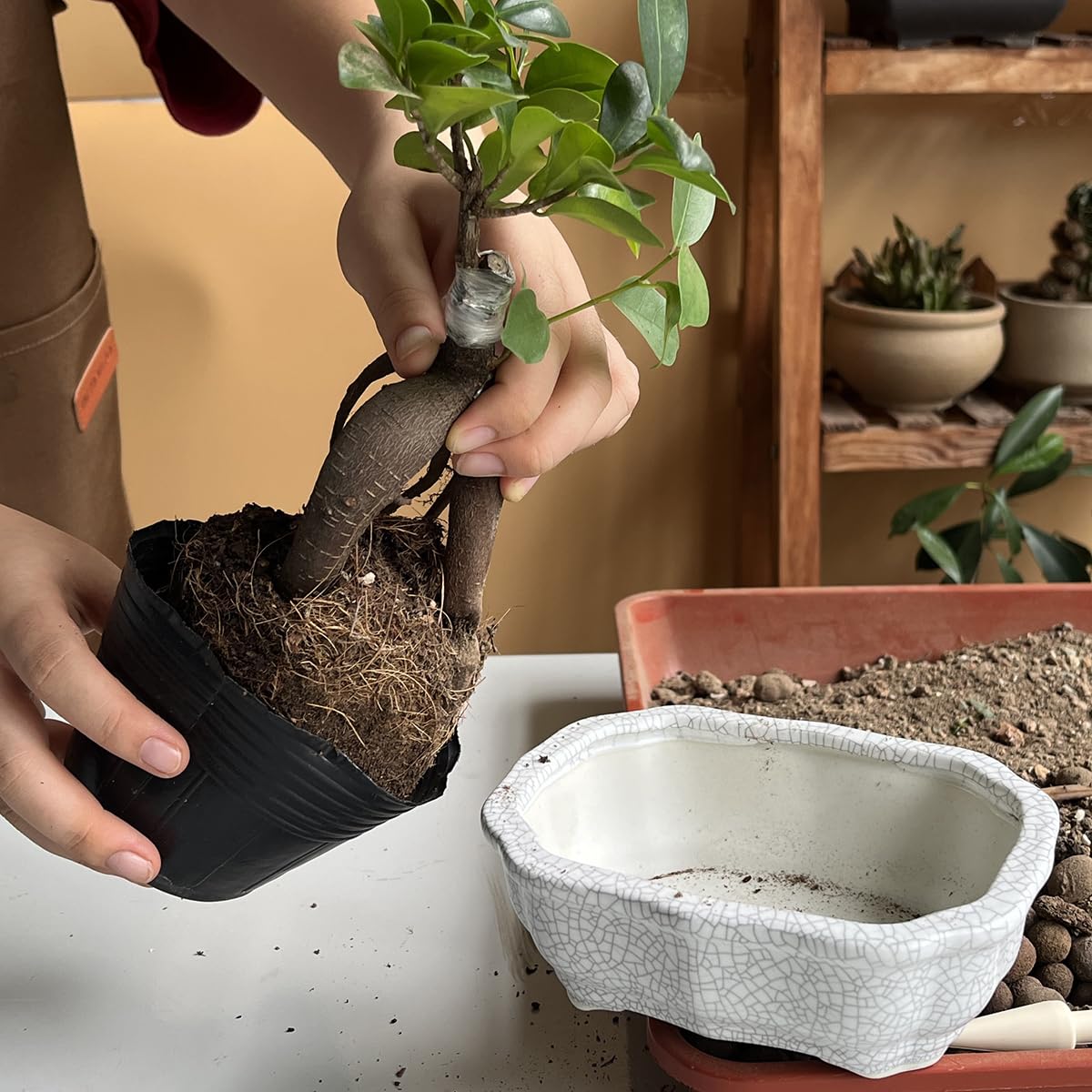 MUZHI mesh pad over drainage holes keeping soil in while allowing water to pass