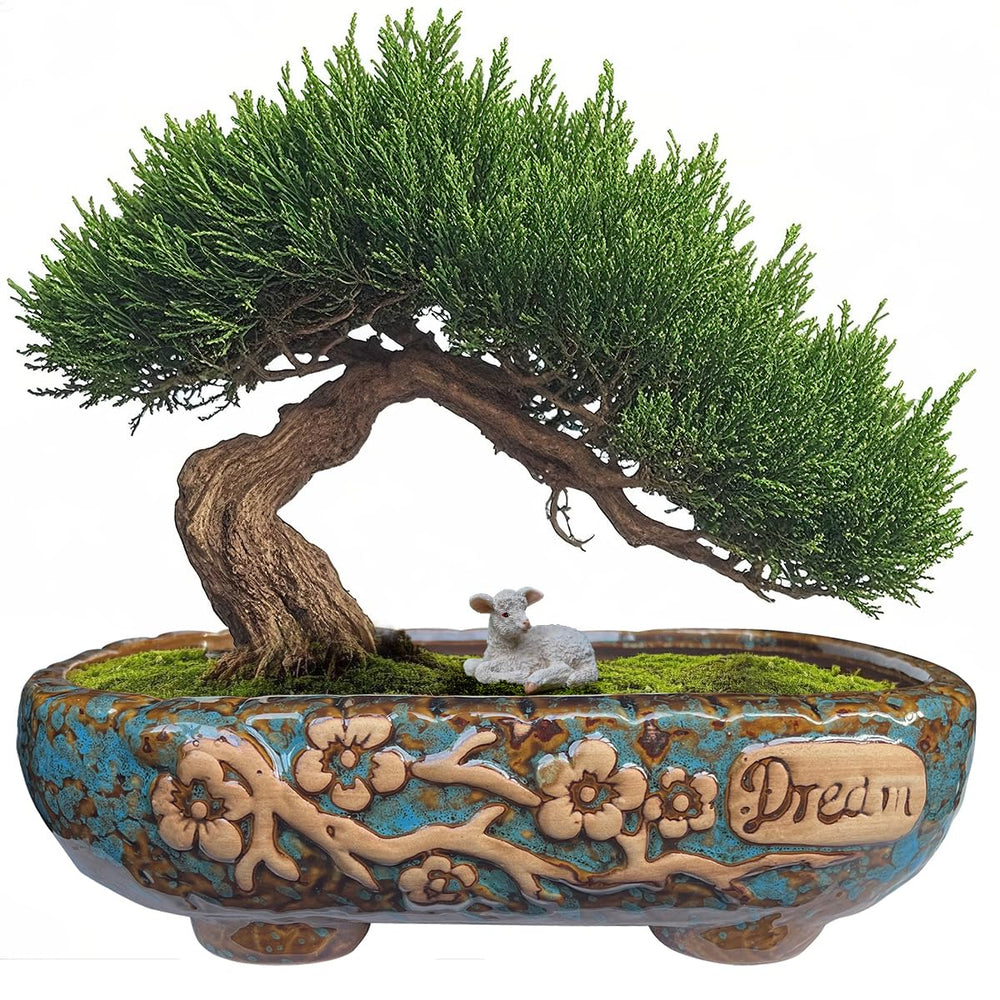 MUZHI rectangular planter front view showing vintage glaze and decorative appeal