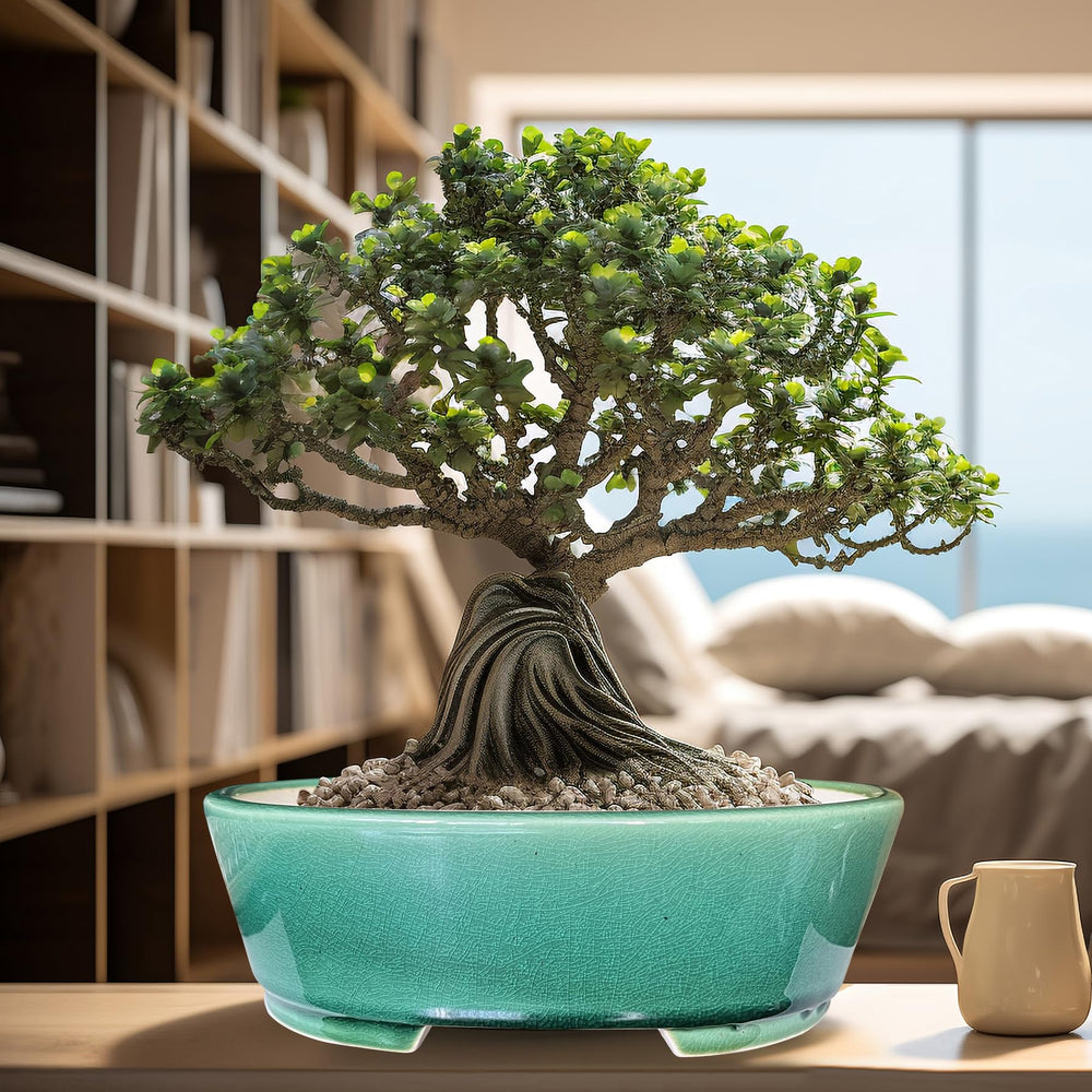 MUZHI pot held in hand for scale benefit: shows compact 9 inch size