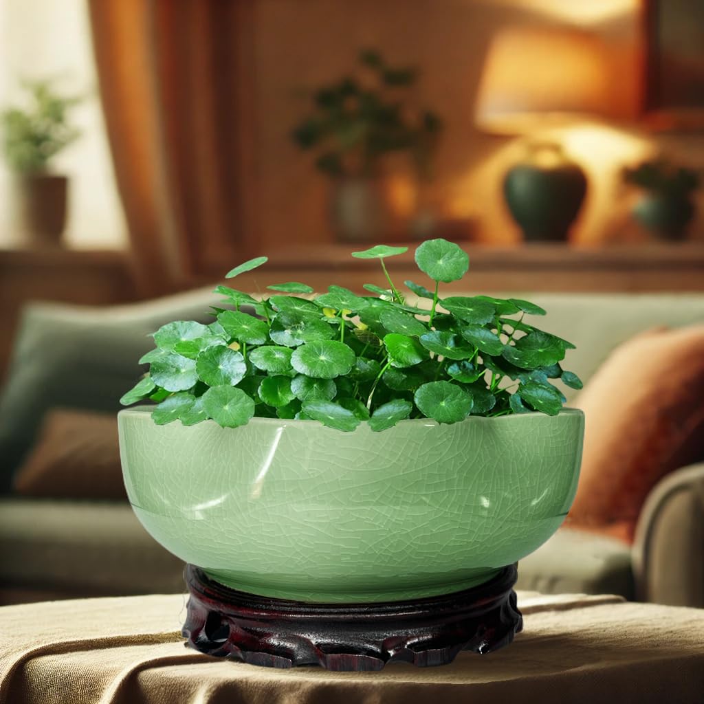MUZHI bowl next to a hand for scale indicating compact size and tabletop fit