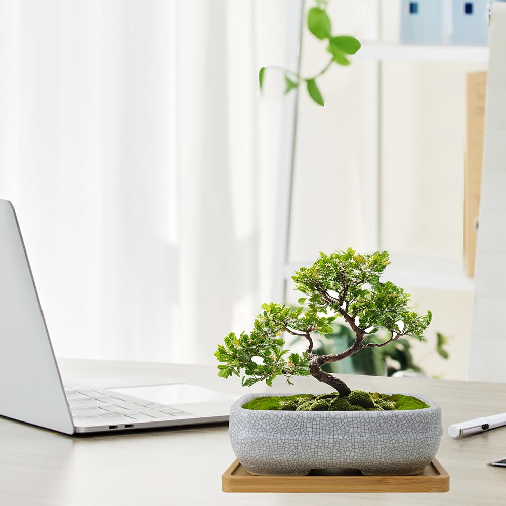 MUZHI pot held in hand for scale showing compact dimensions and portable strength