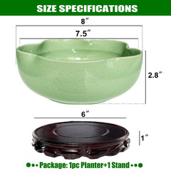 MUZHI top view showing shallow water reservoir ideal for aquatic roots and stability