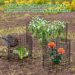 mwellewm assembled cage front view around small shrub, secures plant from nibblers