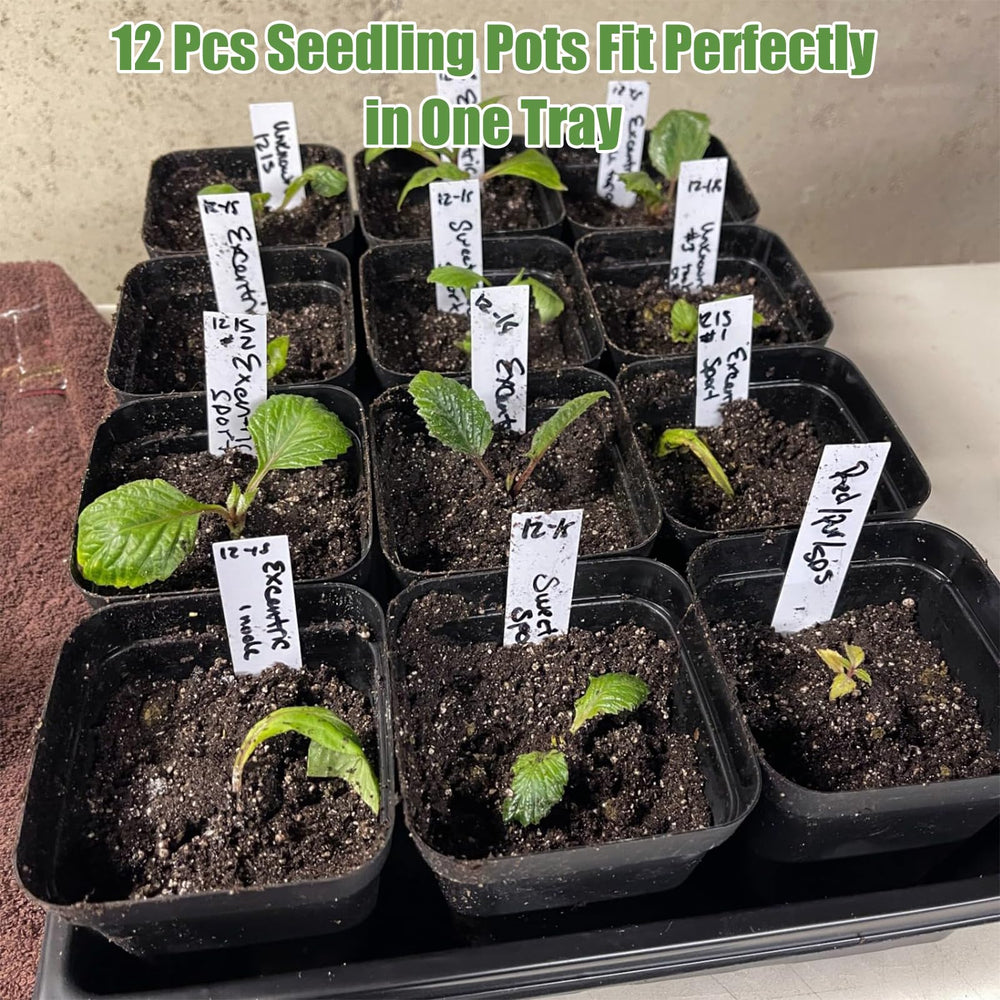 mwellewm mature microgreens in pots showcasing fast harvest potential