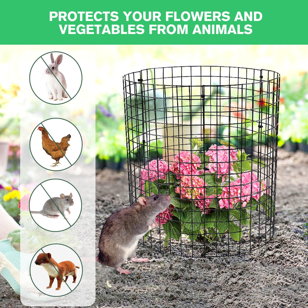 mwellewm protector in use around seedling, stops rabbits and chickens nibbling