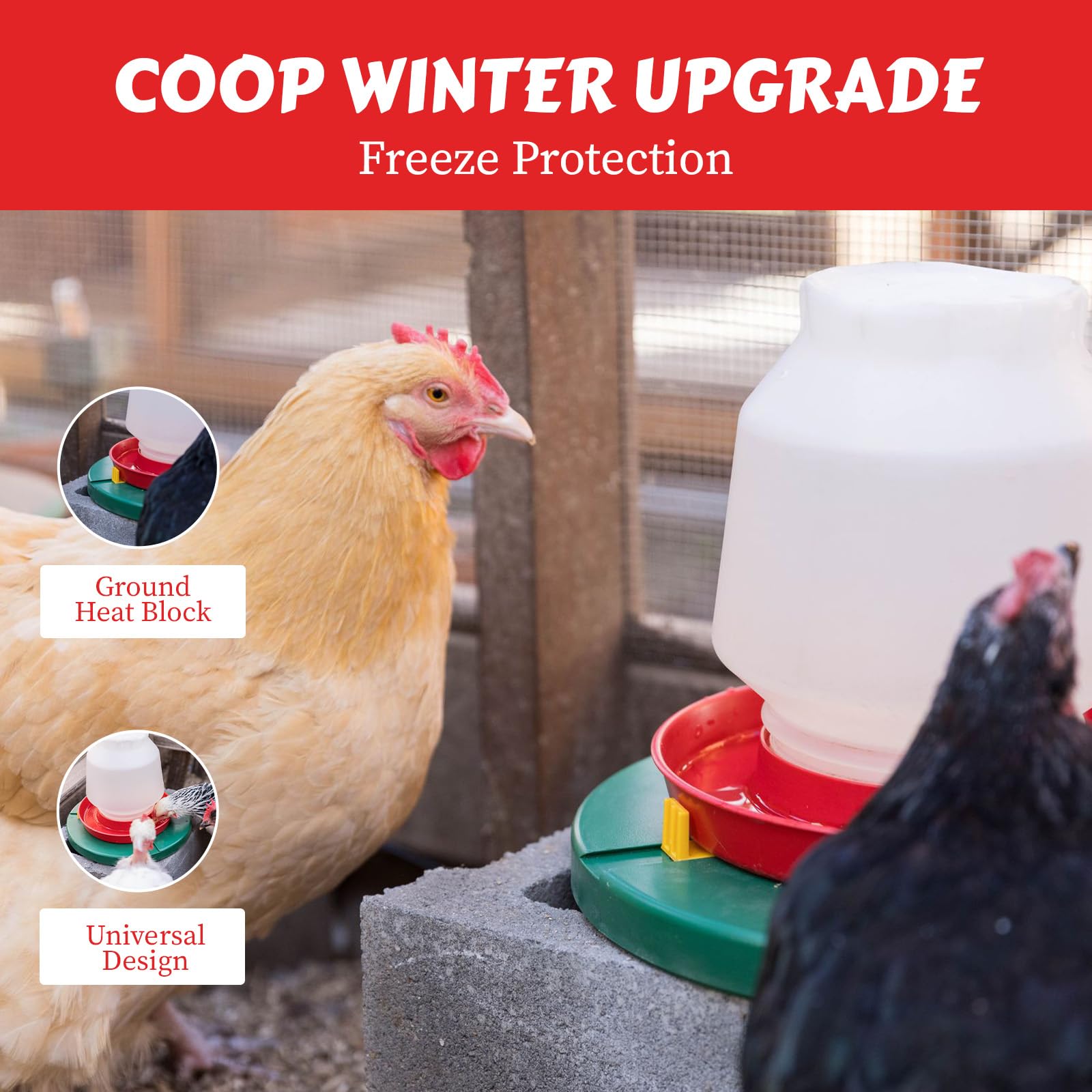 My Favorite Chicken sealed housing and cord entry showing weatherproof, corrosion-resistant benefit