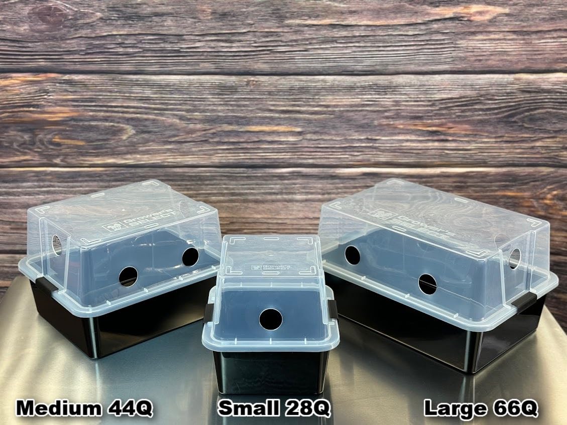 Myco Labs monotub in use with bulk substrate demonstrating controlled fruiting environment