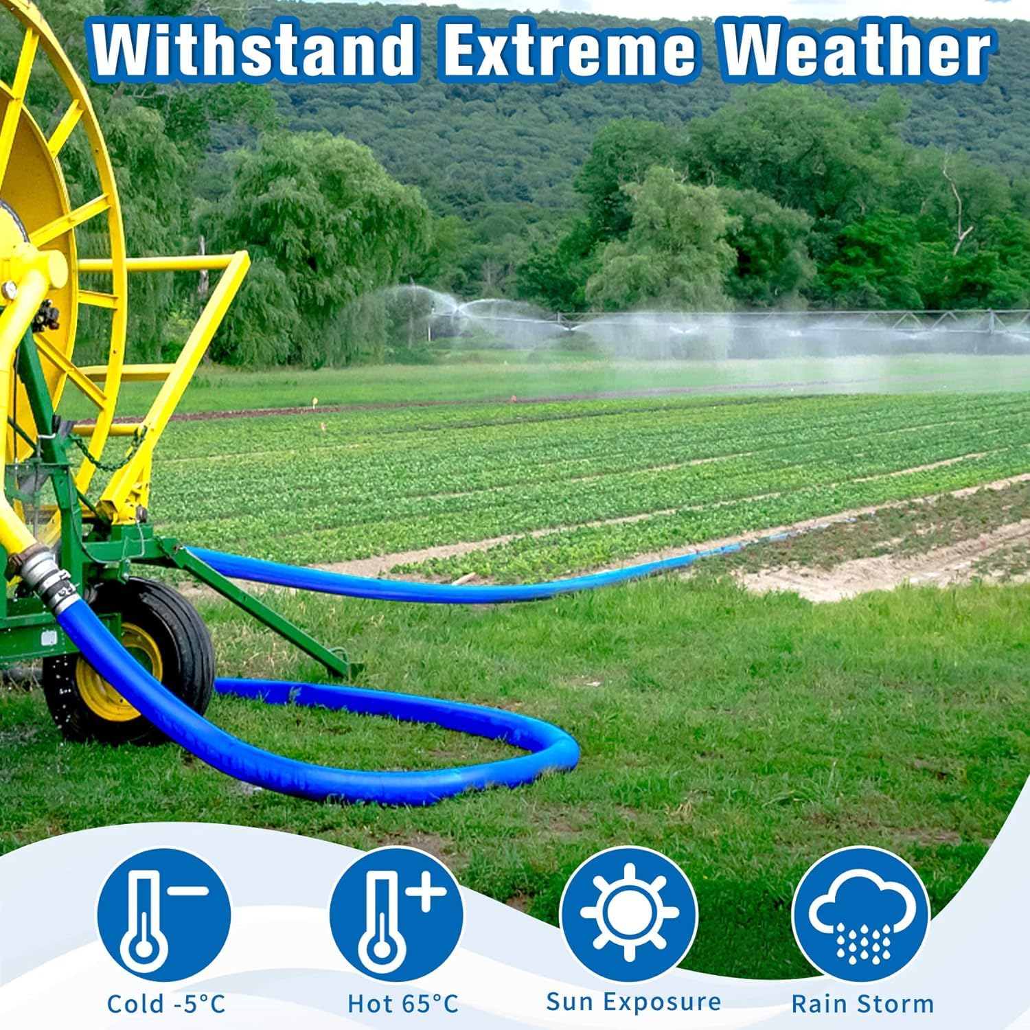 MYFAMIREA hose next to ruler and hand showing 3in diameter scale and easy handling