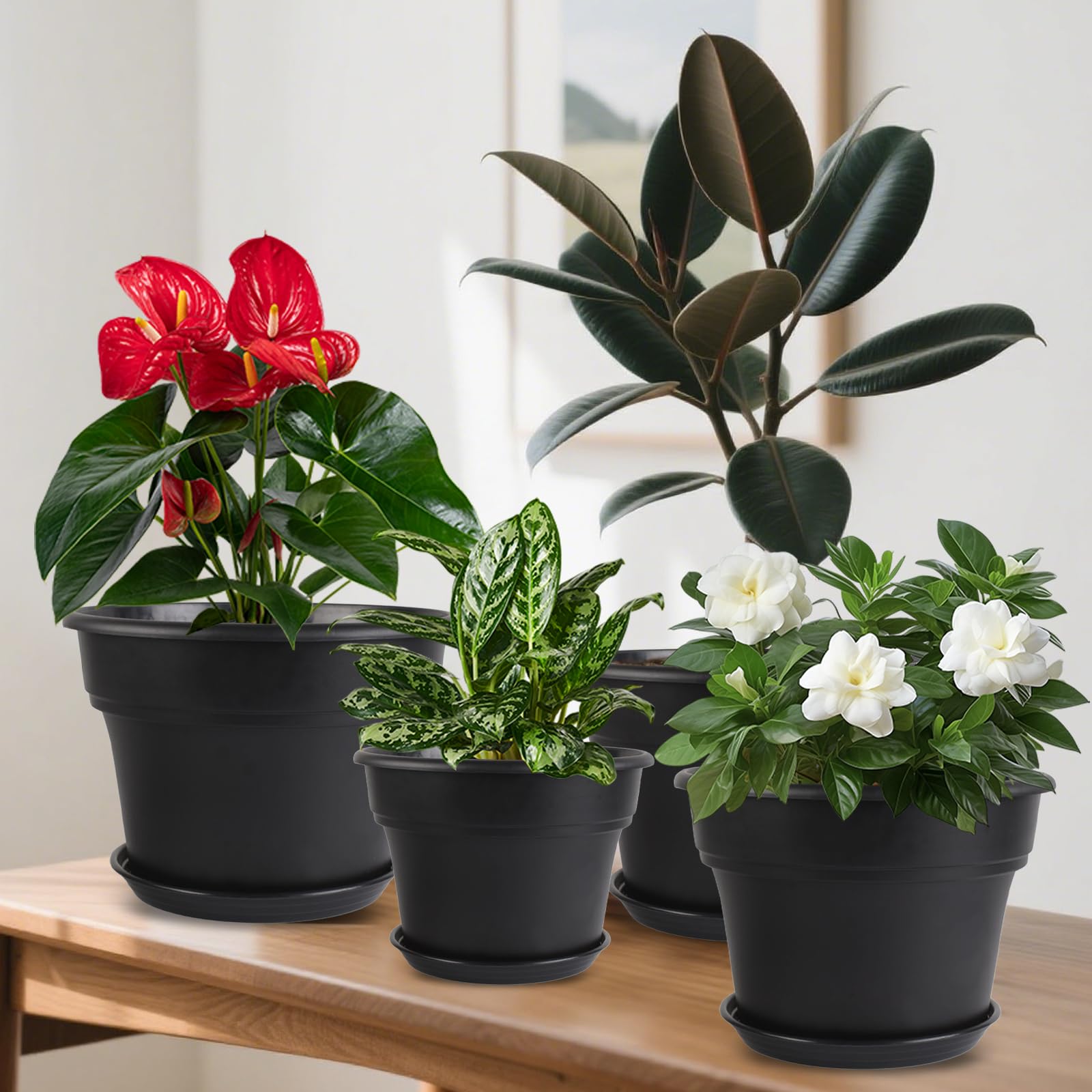 Myfeegoin on patio with plants demonstrating outdoor styling and durability benefit