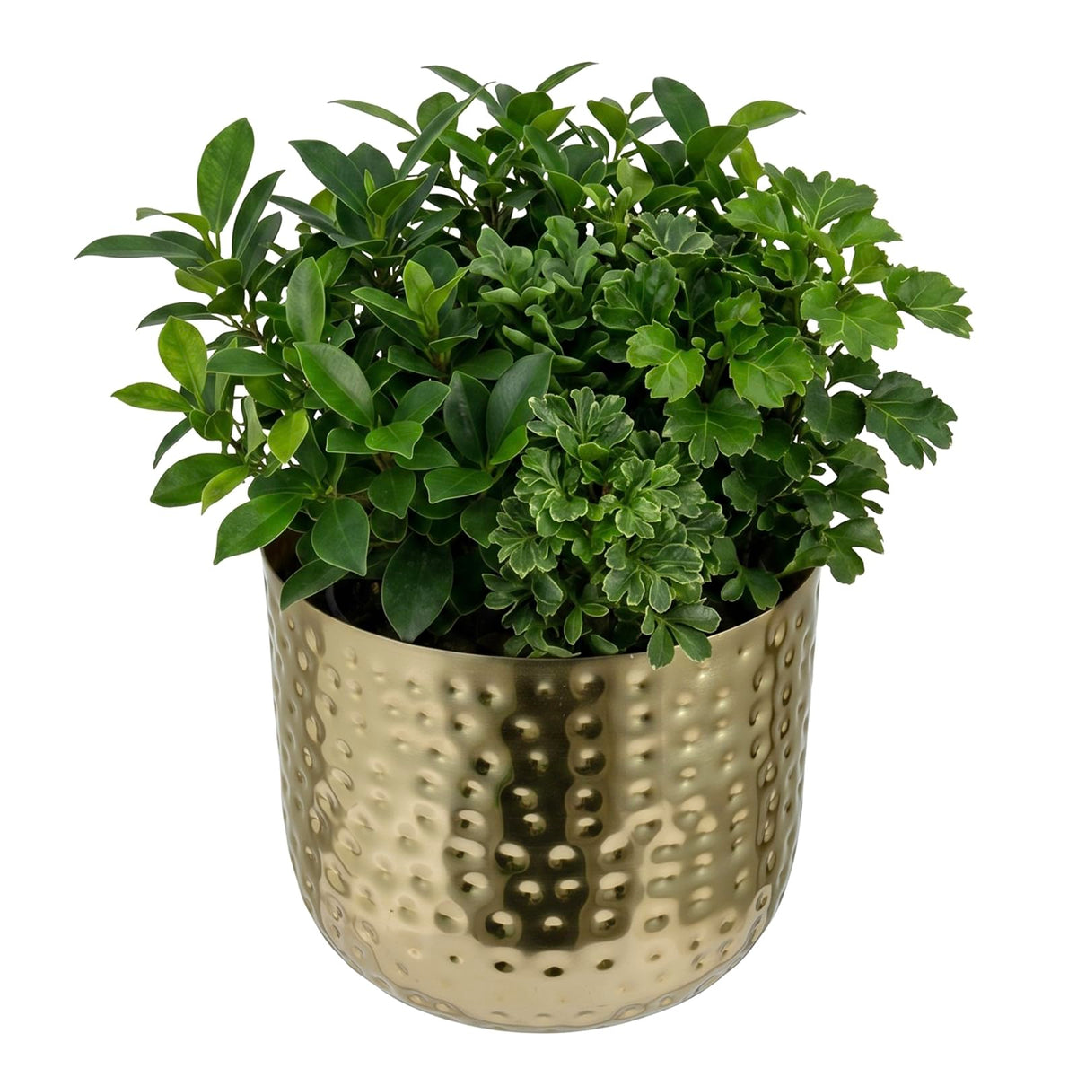 MyGift brass planter front view showing shiny finish and elegant silhouette